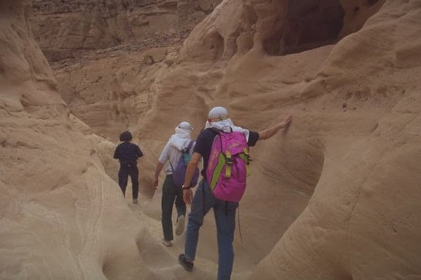 Excursions dans les déserts de Jordanie : Wadi Rum et Petra à pied