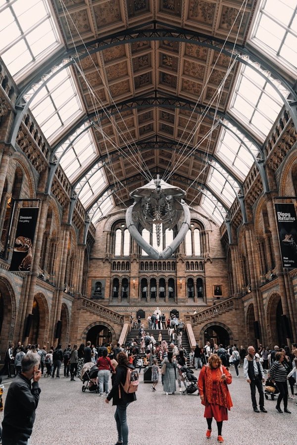 Quelles sont les options pour un voyage d'étude des traditions de navigation polynésienne en Océanie ?