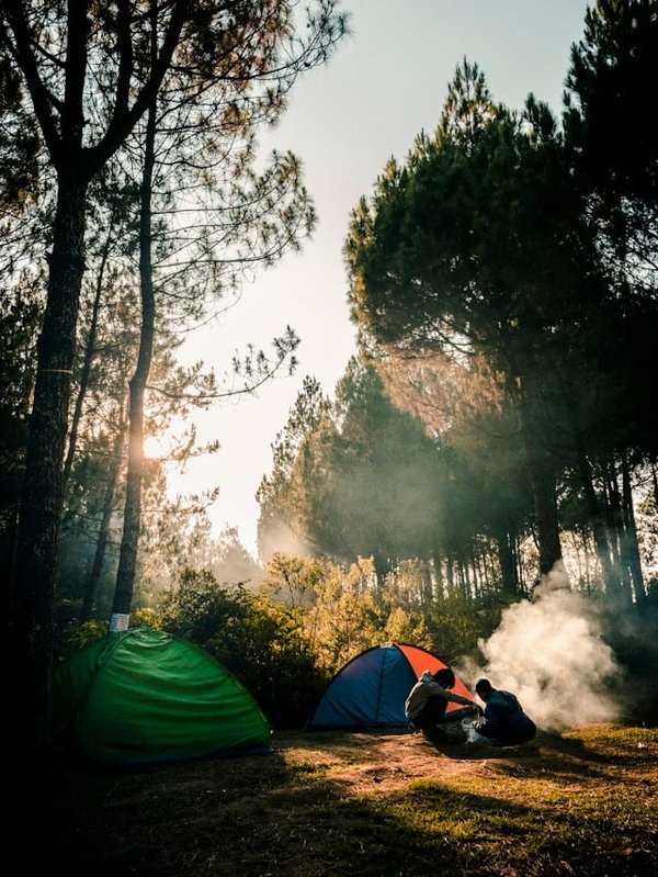 Comment utiliser les astres pour s'orienter lors d'un camping nocturne ?