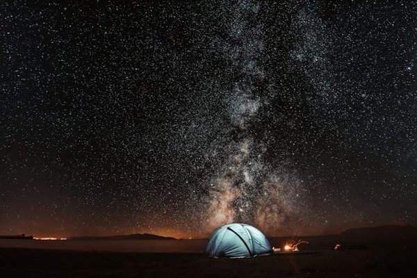 Quelles sont les meilleures stratégies pour observer la faune discrètement en camping ?