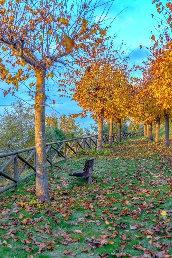 Comment organiser une tournée des vignobles bio en Toscane, Italie ?